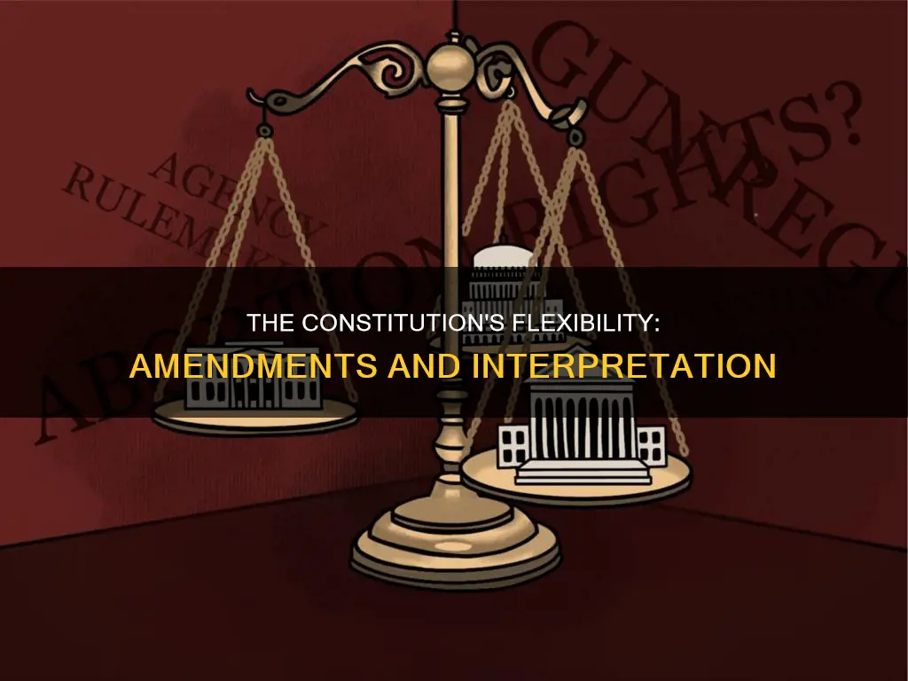 what provisions in the constitution allow for its flexibility