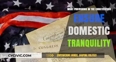The Constitution's Domestic Tranquility Provisions: Ensuring Peace and Order