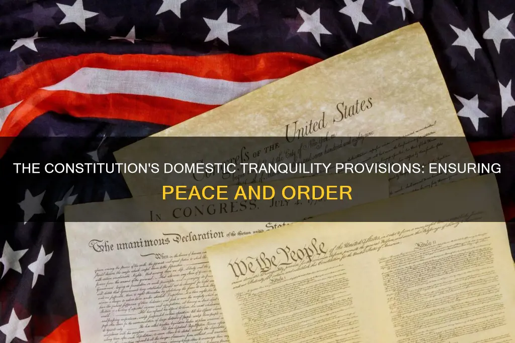 what provisions in the constitution ensure domestic tranquility