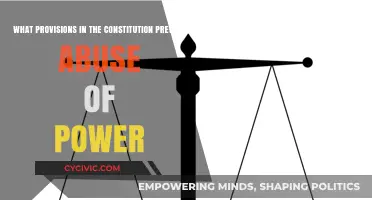 The Constitution's Safeguards Against Abuse of Power
