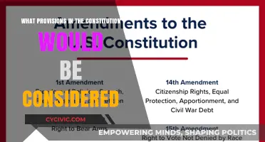 Constitutional Provisions: Exploring the Fundamentals of Our Democracy