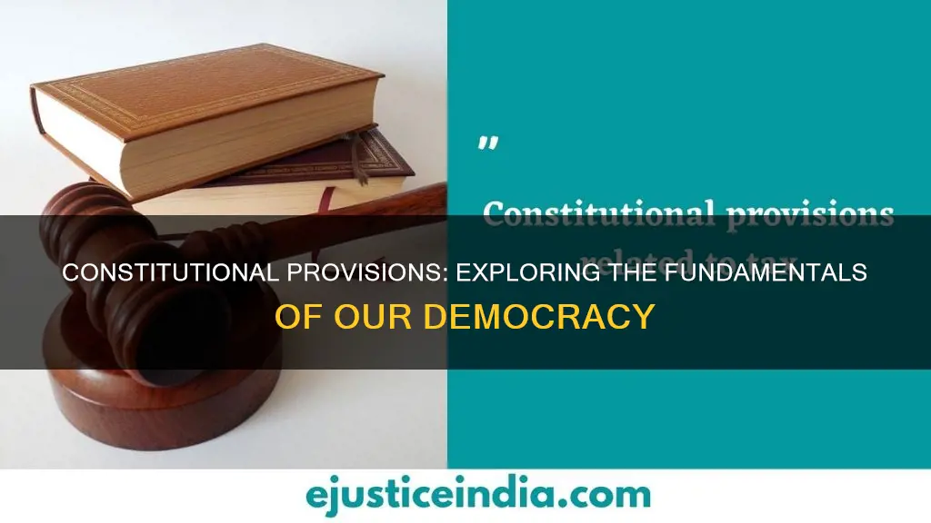 what provisions in the constitution would be considered