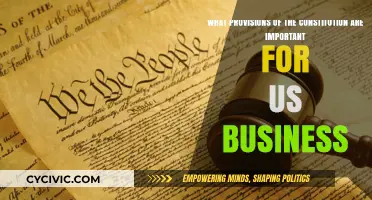 Constitutional Provisions: Vital for US Businesses