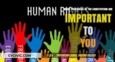 Constitutional Provisions: Our Rights, Our Freedoms