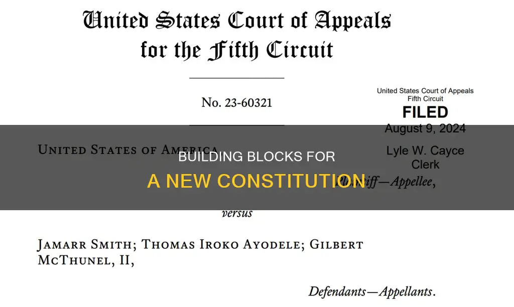 what provisions would you include in a new constitution