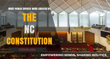 The NC Constitution: Public Offices Created