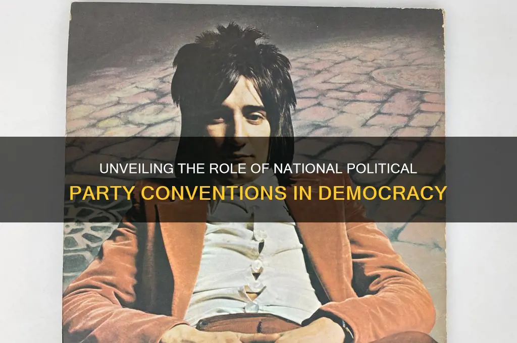 what purpose do national political party conventions serve