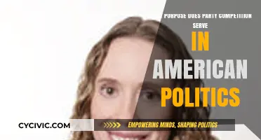 Party Competition in American Politics: Driving Democracy and Shaping Policy