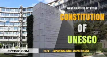 UNESCO Constitution: Setting the Stage for Global Education and Culture