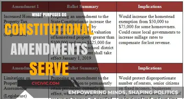 Amendments: Shaping the Constitution's Purpose