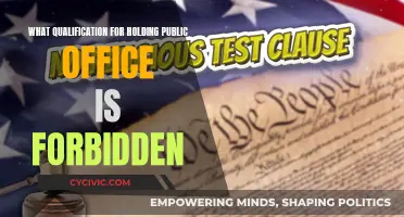 Public Office: Forbidden Qualifications and Their Legal Ramifications