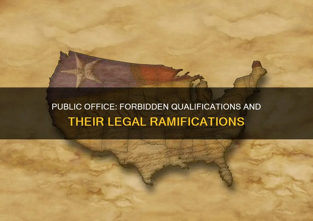 what qualification for holding public office is forbidden