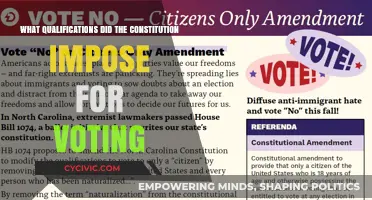 The Constitution's Voting Qualifications Explained