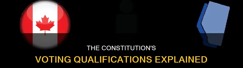 what qualifications did the constitution impose for voting