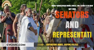 Who Can Serve in Congress?