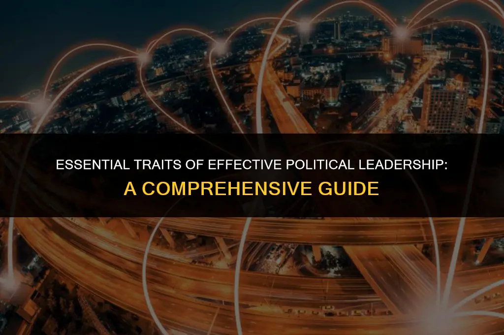 what qualities are most important for a political leader
