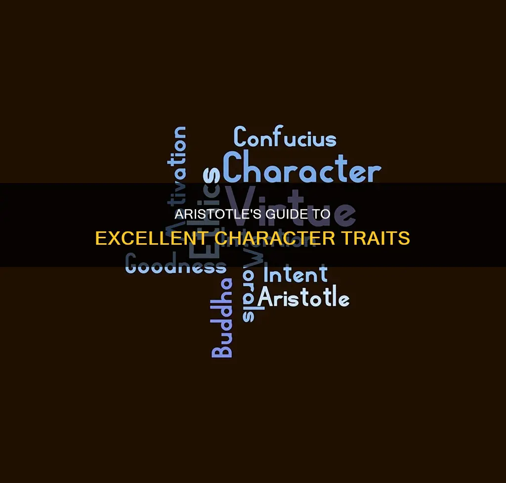 what qualities constitute an excellent character for aristotle