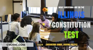 Illinois Constitution Test: What Questions to Expect