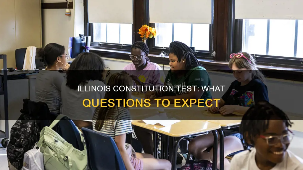 what questions are on the illinois constitution test