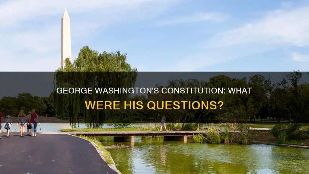 what questions did george washington have understanding the constitution