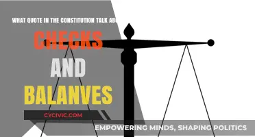 Checks and Balances: Which Constitutional Clause?