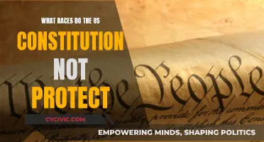 The US Constitution's Racial Protection Gaps