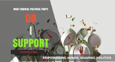 Discovering My Radical Political Party: A Personal Ideological Journey