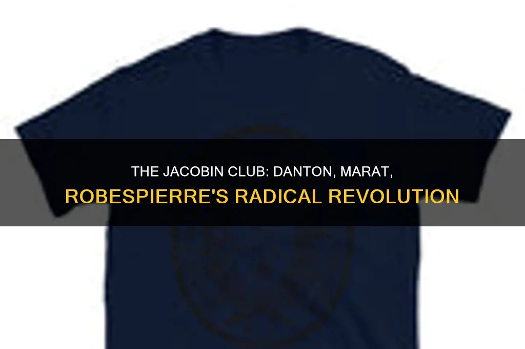 what radical political party was run by danton marat robespierre
