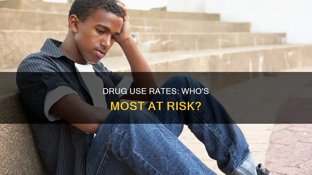 what rate constitute the highest percent of drug users