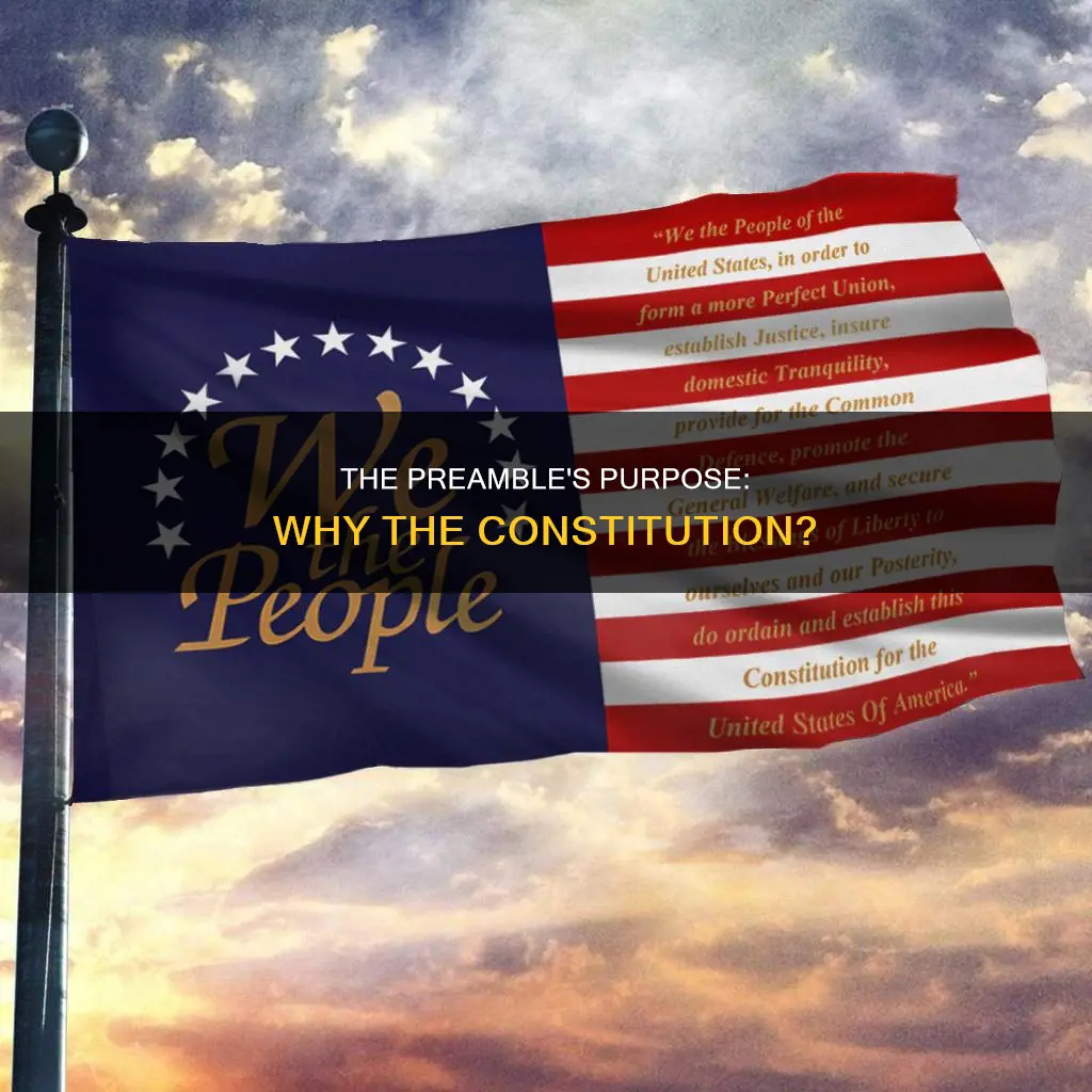 what reasons for the constitution are given in the preamble