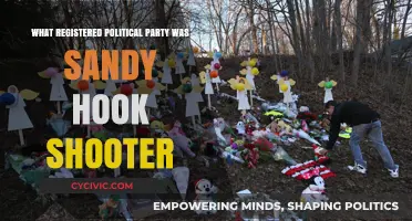 Unraveling the Sandy Hook Shooter's Political Party Affiliation: Facts Revealed