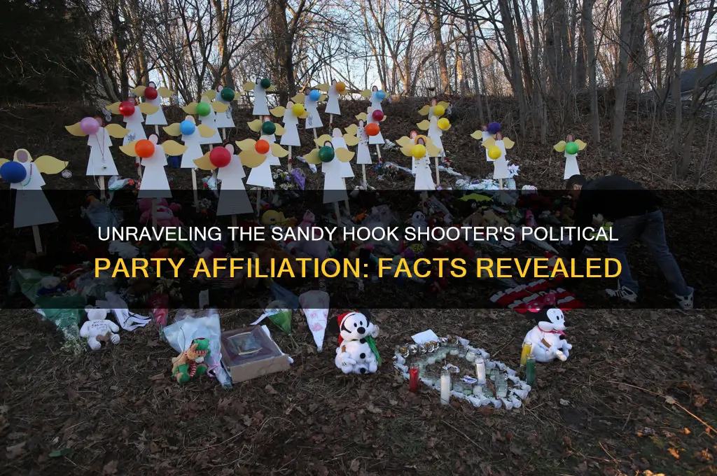 what registered political party was sandy hook shooter