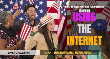 Campaigning Online: Rules and Regulations for Politicians