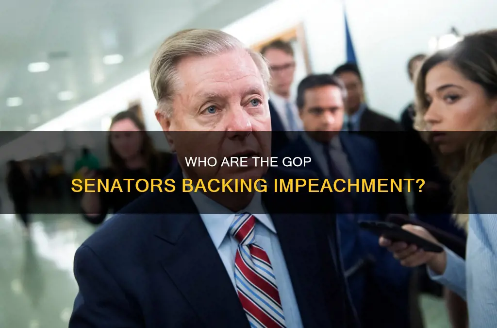 what republicans voted that the impeachment is constitutional