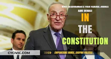 Federal Judge Requirements: What the Constitution Says