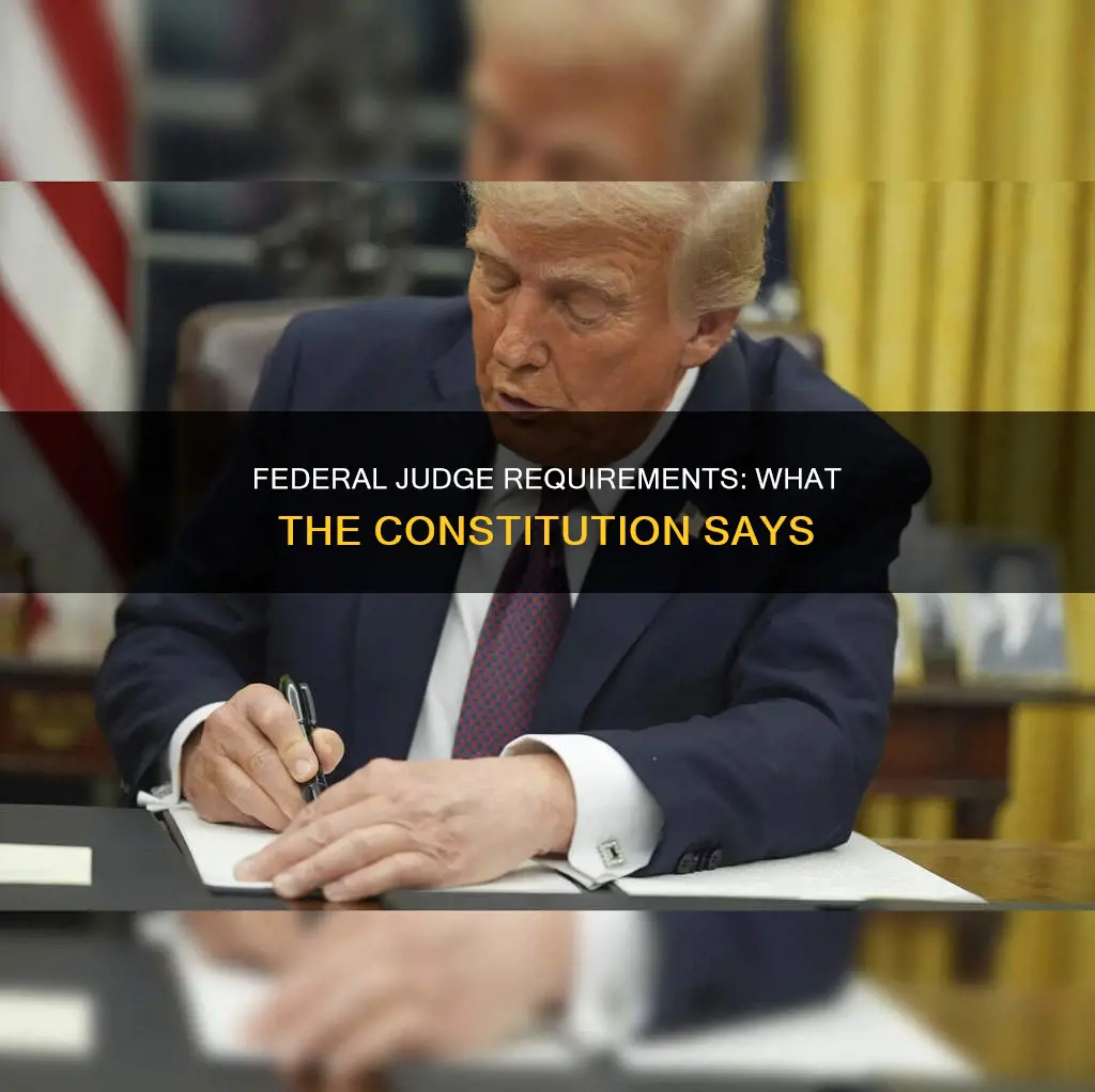 what requirements for federal judges are derailed in the constitution