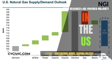 The US: A Land of Abundant Resources and Opportunities