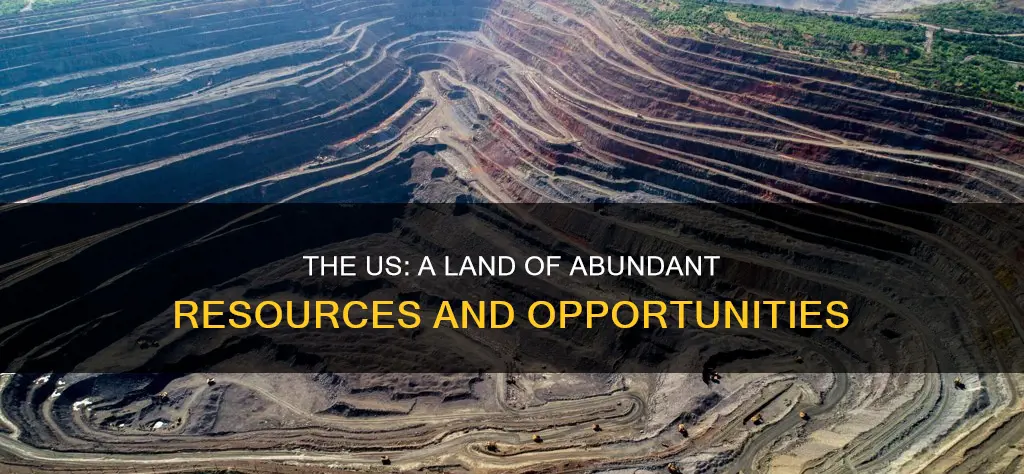 what resources are provided majority in the us