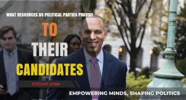 Essential Resources Political Parties Offer Their Candidates for Success