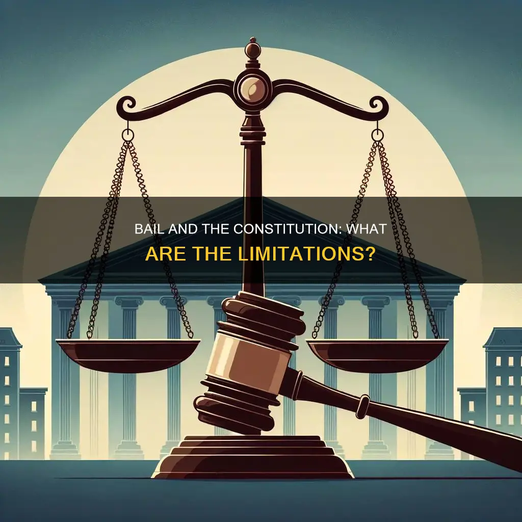 what restriction does the constitution place on bail