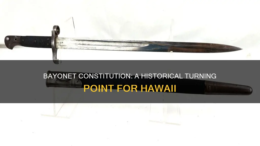 what resulted from the bayonet constitution of 1887