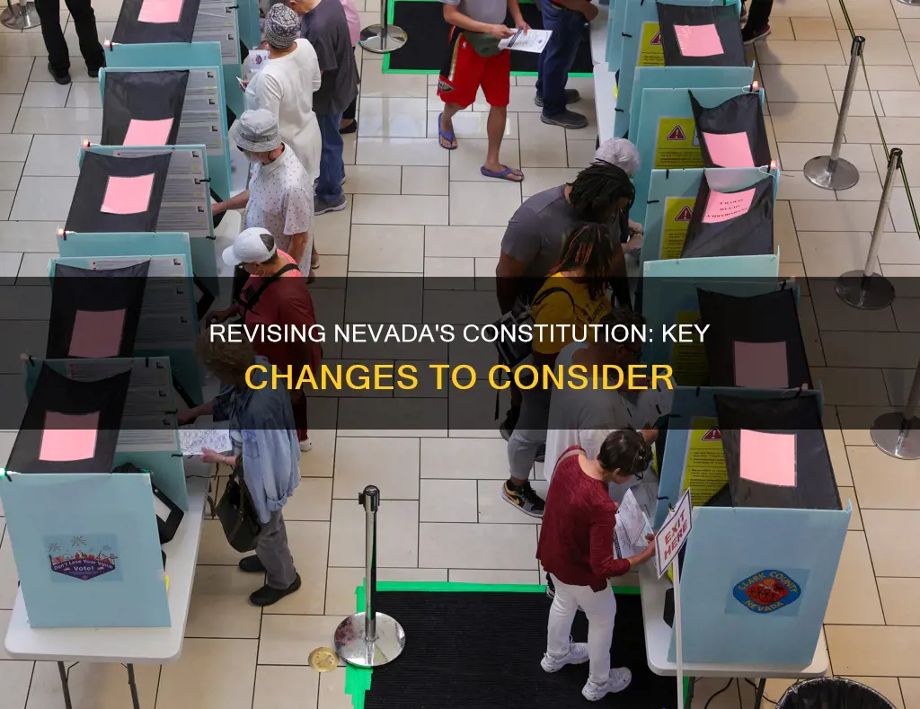 what revisions would you make to the nevada constitution