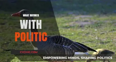 Creative Rhyme Schemes: Exploring Words That Rhyme with Politic