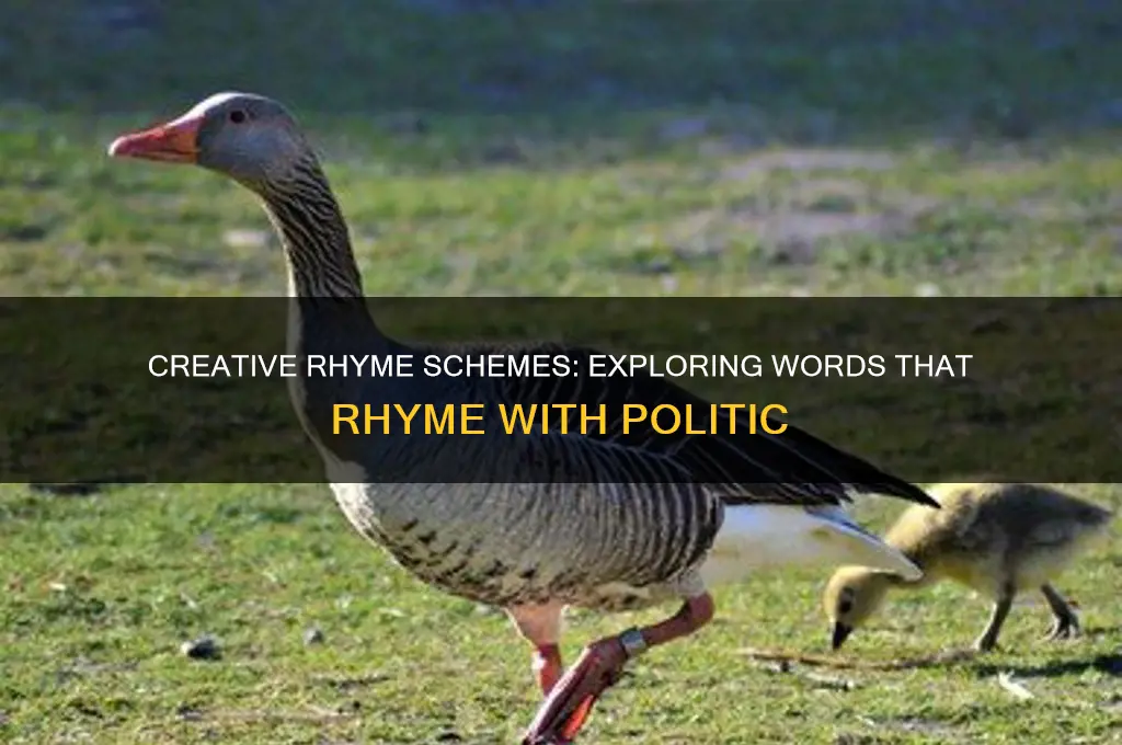 what rhymes with politic