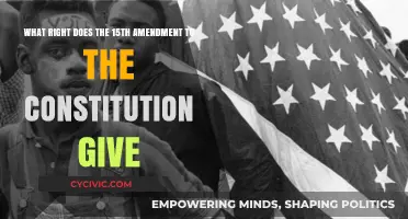 The 15th Amendment: Right to Vote for All