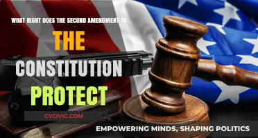 The Second Amendment: Protecting the Right to Bear Arms