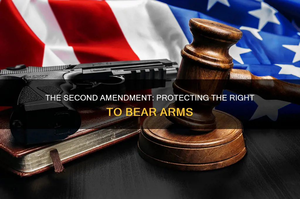 what right does the second amendment to the constitution protect