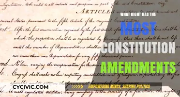 Amendments: The Right to Bear Arms and More