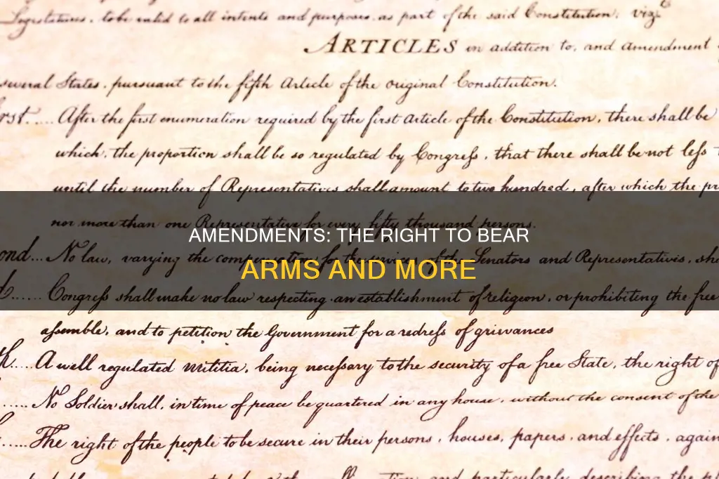 what right has the most constitutional amendments