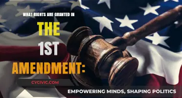 The First Amendment: Our Fundamental Freedoms